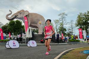 BIB: 
                            <button type="button" onclick="openModal(26528817)" class="btn btn-primary btn-sm float-right btn-popup" data-toggle="modal" data-target=".modal-high-quality">
                        <i class="fas fa-shopping-cart"></i> Add to Cart
                    </button>
                                            <button type="button" onclick="isThisMe(26528817, true)" class="btn btn-success btn-sm float-right btn-popup btn-isme hidden" data-toggle="tooltip" data-placement="bottom" title="นี่คือรูปของคุณใช่ไหม คลิกที่นี่เพื่อเอาเข้าอัลบั้ม">
                        <i class="fas fa-plus"></i> Add to album
                    </button>
                    <button type="button" onclick="isThisMe(26528817, false)" class="btn btn-warning btn-sm float-right btn-popup btn-isnotme hidden">
                        <i class="fas fa-ban"></i> Remove from album
                    </button>